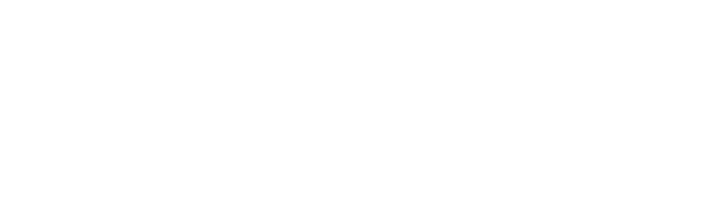 PrajWare Invoice